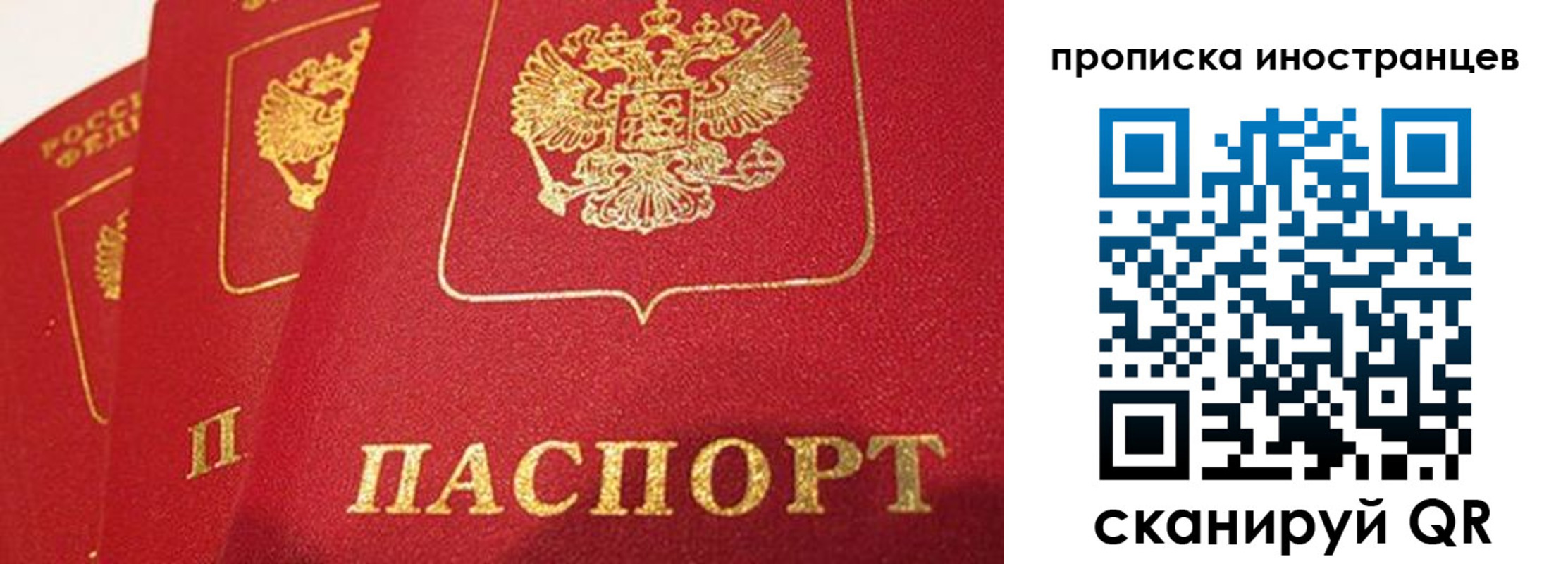 прописка для школы в Шахтах